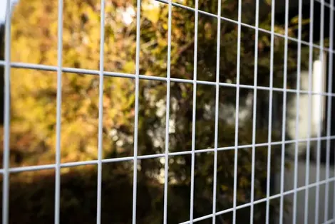 توری مش سبک