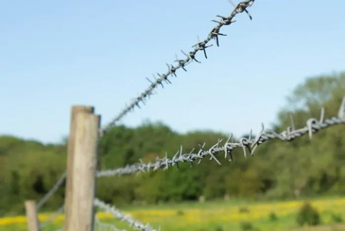 بهترین سیم خاردار برای باغ با توجه به کاربرد 